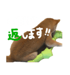 きなこのすたんぷ②（個別スタンプ：8）