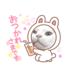 ねこもち(+手書き)（個別スタンプ：1）