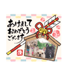フレブル  マカナ（個別スタンプ：1）
