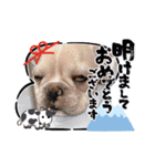 フレブル  マカナ（個別スタンプ：2）
