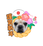 フレブル  マカナ（個別スタンプ：4）
