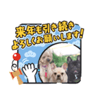 フレブル  マカナ（個別スタンプ：11）