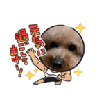 フレブル  マカナ（個別スタンプ：12）