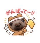 フレブル  マカナ（個別スタンプ：15）
