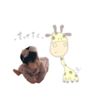いろはちゃん(animal)（個別スタンプ：2）
