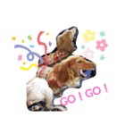 バブ♡ライ♡そら♡part2（個別スタンプ：3）