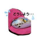 バブ♡ライ♡そら♡part2（個別スタンプ：6）