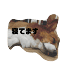 マル君の日常（個別スタンプ：2）