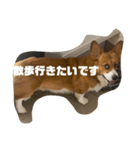 マル君の日常（個別スタンプ：3）