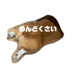 マル君の日常（個別スタンプ：7）