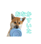 荒木三助（個別スタンプ：3）