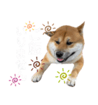 荒木三助（個別スタンプ：4）