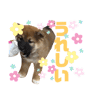 荒木三助（個別スタンプ：10）