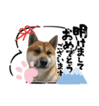 荒木三助（個別スタンプ：14）