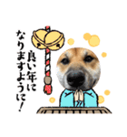 荒木三助（個別スタンプ：15）