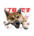 荒木三助（個別スタンプ：23）