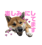 荒木三助（個別スタンプ：24）