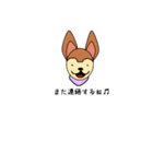はちの言葉（個別スタンプ：12）