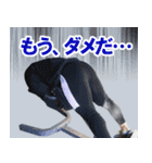 ビックヒデ ○○だけれども スタンプ（個別スタンプ：13）