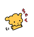 トイプードルのレオ君スタンプ（個別スタンプ：3）