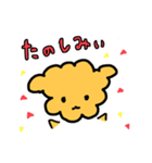 トイプードルのレオ君スタンプ（個別スタンプ：8）