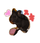 ハムハムズ(●´ω｀●)（個別スタンプ：1）