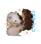 ハムハムズ(●´ω｀●)（個別スタンプ：4）