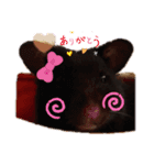 ハムハムズ(●´ω｀●)（個別スタンプ：6）