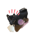 柴犬愛犬（個別スタンプ：10）