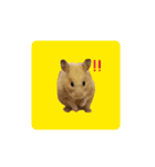 キンクマ大豆のスタンプ（個別スタンプ：1）