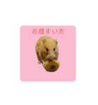 キンクマ大豆のスタンプ（個別スタンプ：7）