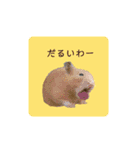 キンクマ大豆のスタンプ（個別スタンプ：8）