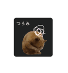 キンクマ大豆のスタンプ（個別スタンプ：9）