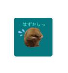 キンクマ大豆のスタンプ（個別スタンプ：13）