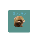 キンクマ大豆のスタンプ（個別スタンプ：22）