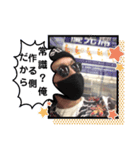 山口ブランドvol.02（個別スタンプ：3）