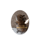 デグたんズとチョビ（個別スタンプ：7）