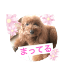 LimaLima5-2nd（個別スタンプ：1）