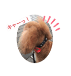 LimaLima5-2nd（個別スタンプ：4）