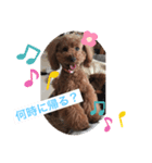 LimaLima5-2nd（個別スタンプ：5）