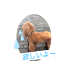 LimaLima5-2nd（個別スタンプ：7）