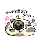 お正月シンバ（個別スタンプ：1）