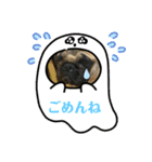 お正月シンバ（個別スタンプ：8）