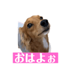 だっぺ兄妹（個別スタンプ：2）