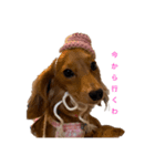 だっぺ兄妹（個別スタンプ：8）