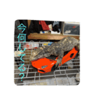 我が家の鳥カニ（個別スタンプ：10）
