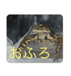 我が家の鳥カニ（個別スタンプ：14）