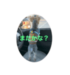 gengen-love（個別スタンプ：1）