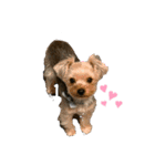 gengen-love（個別スタンプ：7）