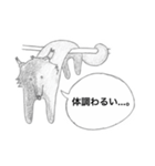 ビントロングの長尾さん（個別スタンプ：6）